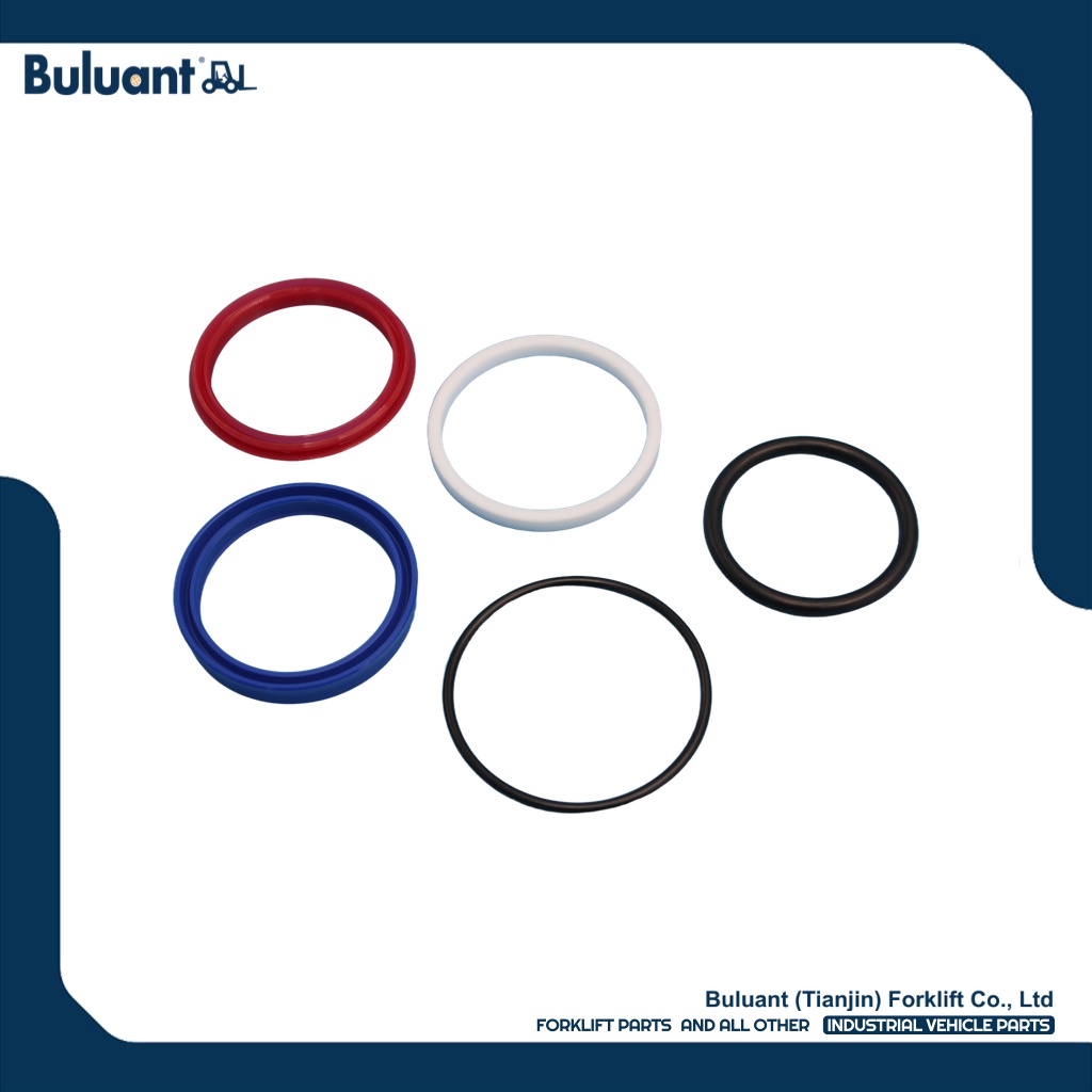 Buluant 51034688 Forklift Seal Kit Hydr. Fits Jungheinrich Electric Diesel Trucks