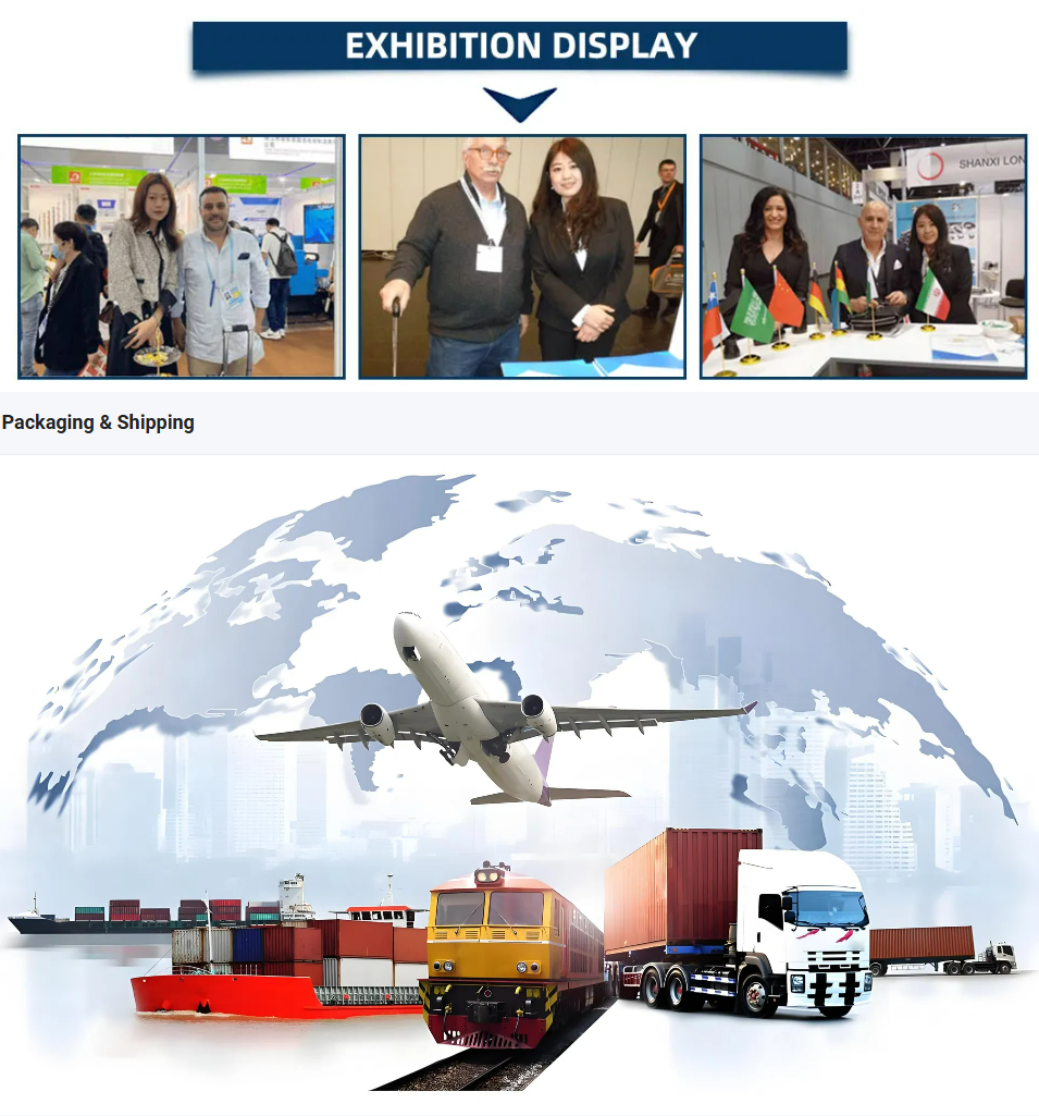 Exhibition Display and Packaging & Shipping overview. The top section shows Buluant team members participating in international trade shows, networking with global clients, and showcasing products at exhibition booths with international flags. The bottom section illustrates global logistics capabilities, featuring a world map background with icons of an airplane, cargo ship, freight train, and heavy-duty delivery trucks, representing multi-modal international transportation and supply chain services.